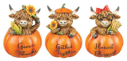 HIGHLAND COW IN PUMPKIN