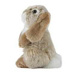 Living Nature Brown Sitting Lop Eared Rabbit Plush Stuffed Animal Toy