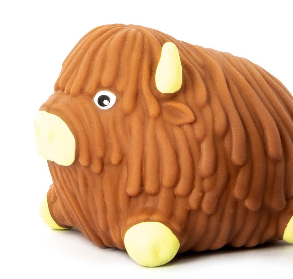 AA114_Squidgy Highland Cow Sensory Toy – Parkhurst Pumpkin Patch