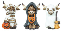 TRICK OR TREATER HIGHLAND COW