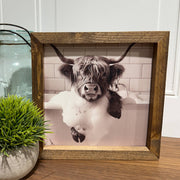 Highland Cow soaking in tub