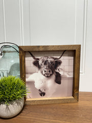Highland Cow soaking in tub