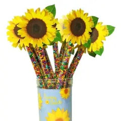 Rainbow Sunny Seeds