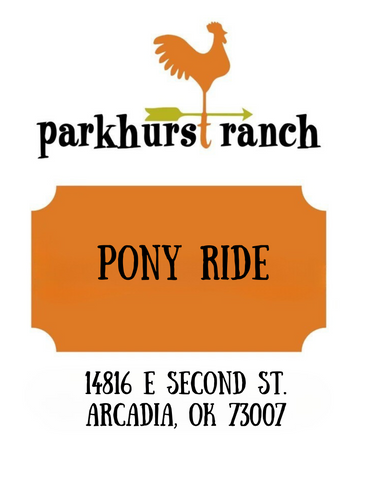 Pony ride