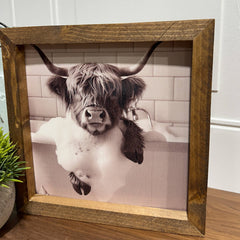 Highland Cow soaking in tub