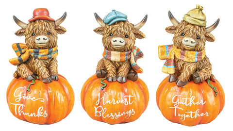 SCARF HIGHLAND COW ON PUMPKIN 3 ASSORTED