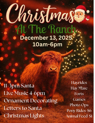 Christmas At The Ranch