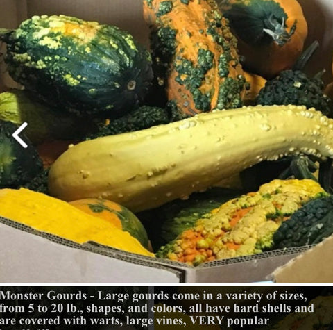 Gourds Bin